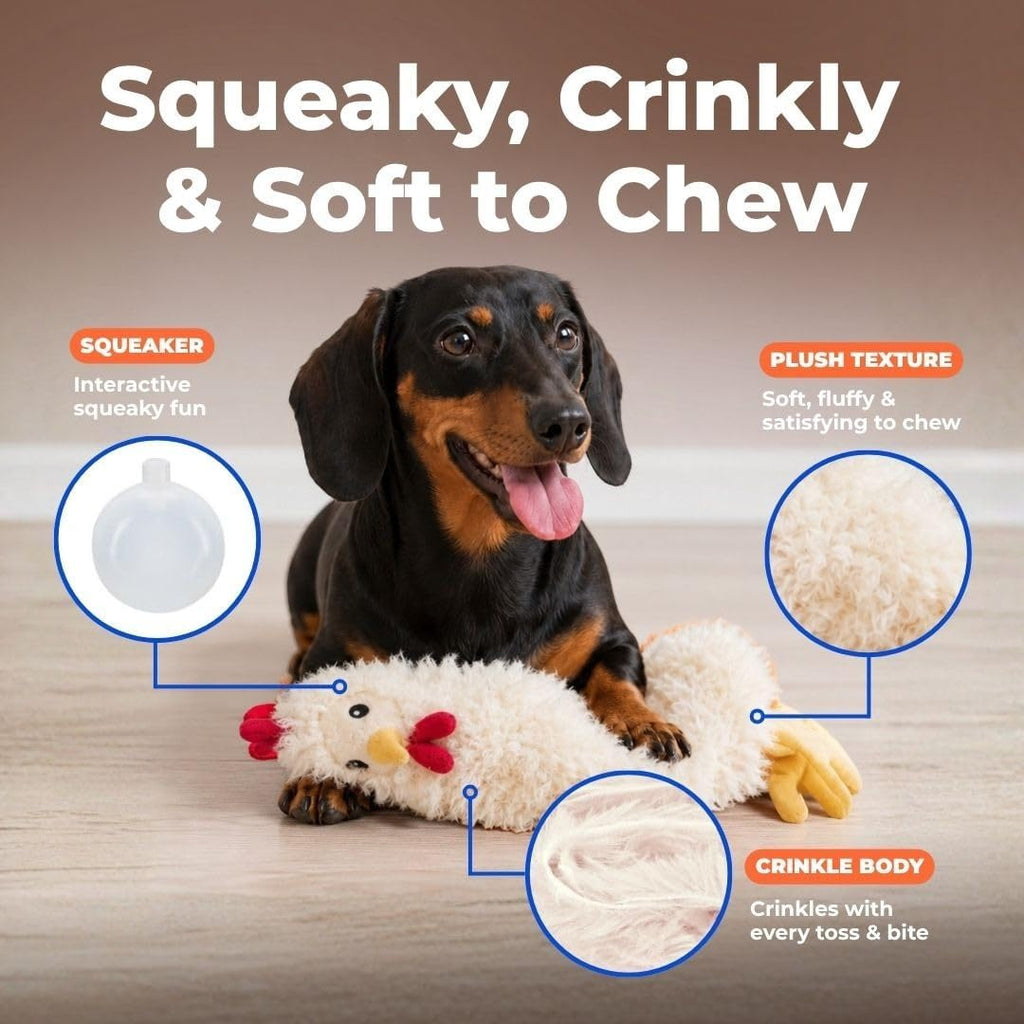Interactive Squeaky Dog Toy