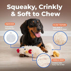 Interactive Squeaky Dog Toy