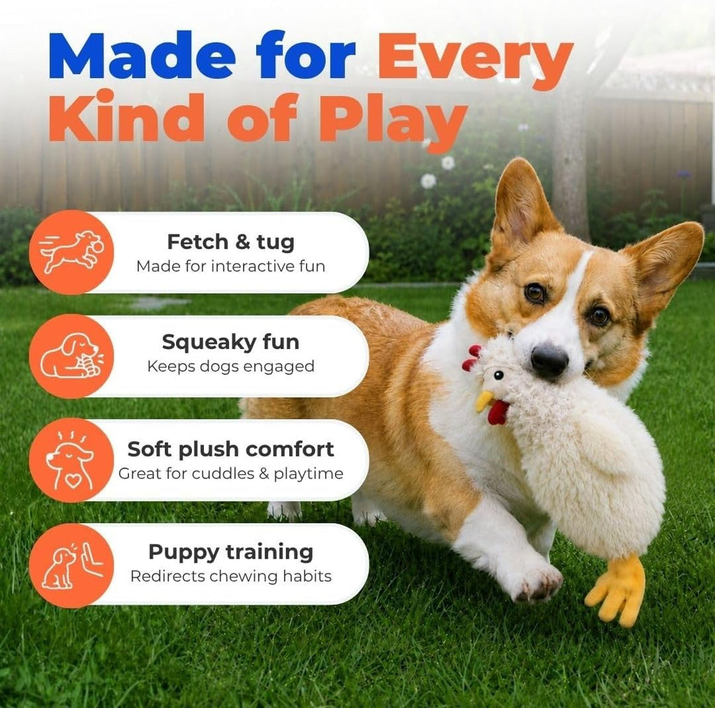 Interactive Squeaky Dog Toy