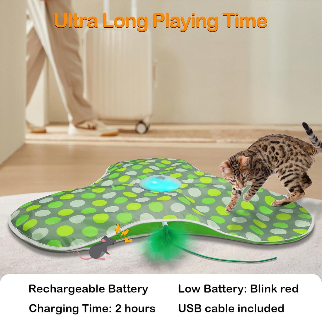 Interactive Cat Toys for Indoor Cats
