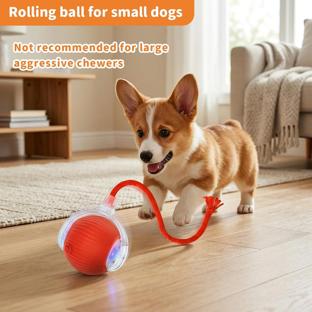 Cats Smart Automatic Ball Moving Chase Dogs Toy